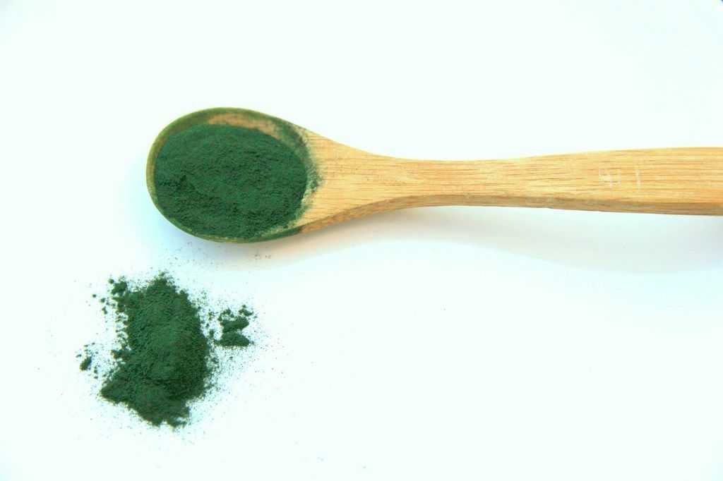 Alt du trenger å vite om espirulina