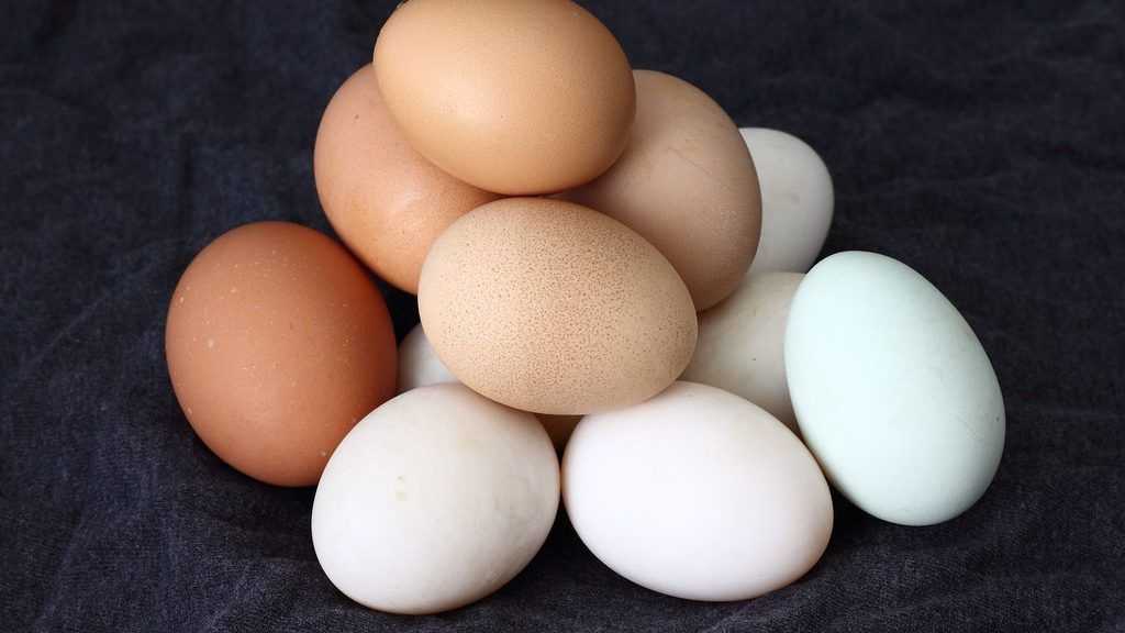 Egg og deres næringsmessige egenskaper
