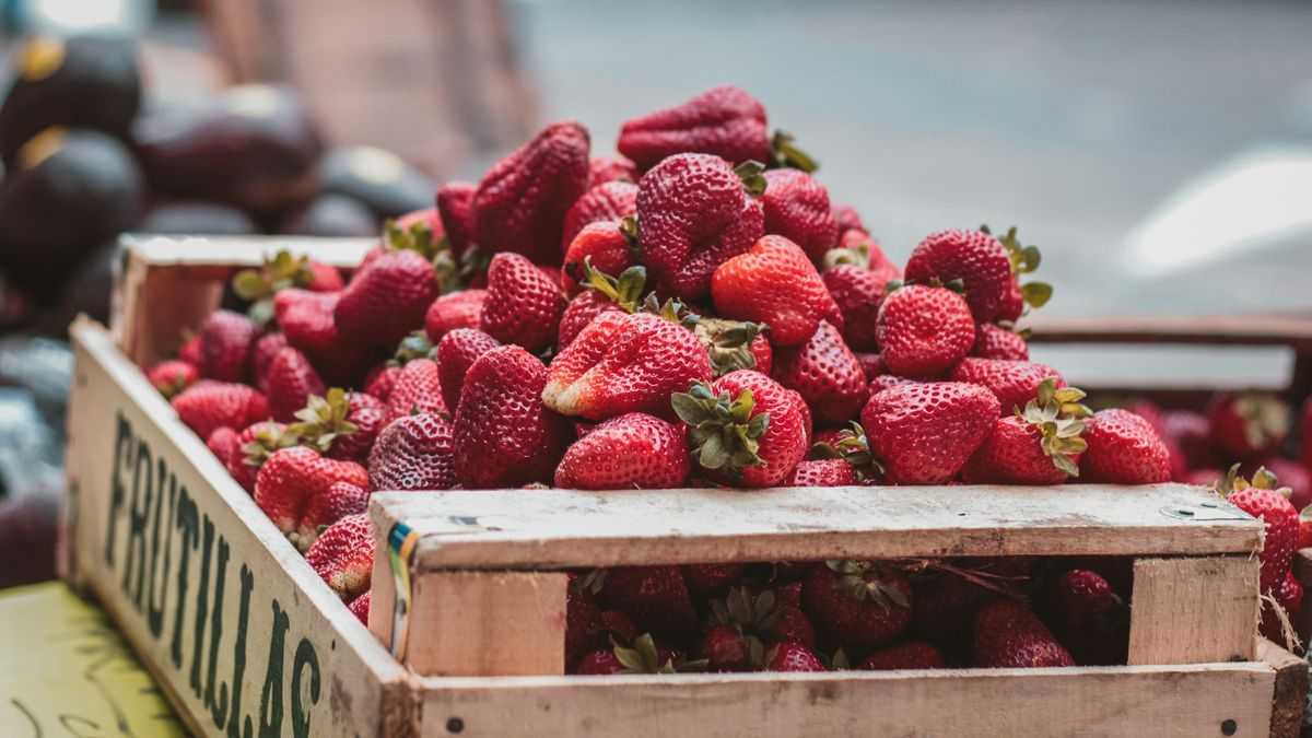 Er det farlig å spise frukt med mugg?