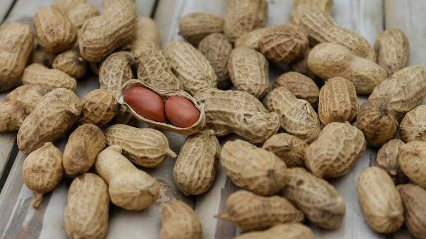 Er peanøtter bra for å gå ned i vekt?