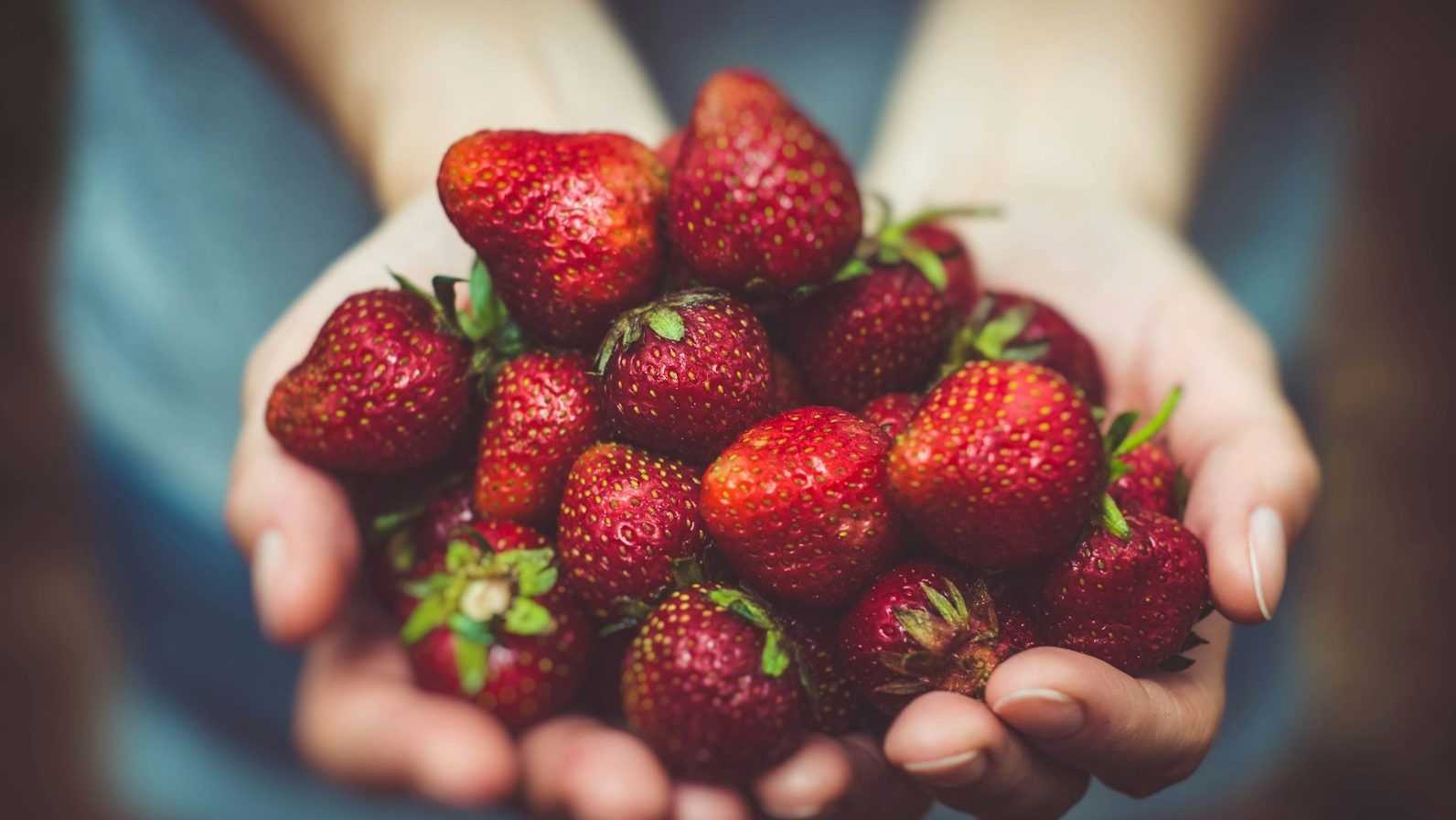Hvorfor er det ikke det samme å spise hele frukter som knuste?