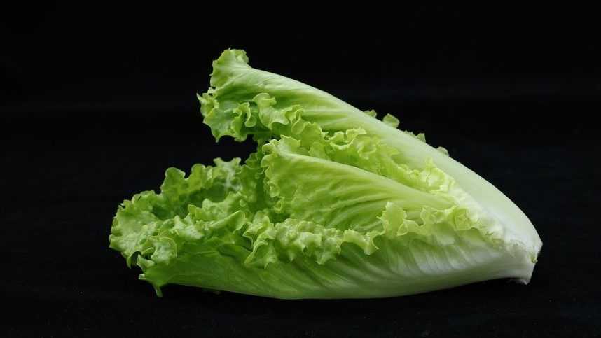 Romersk salat: en sunn og allsidig mat.