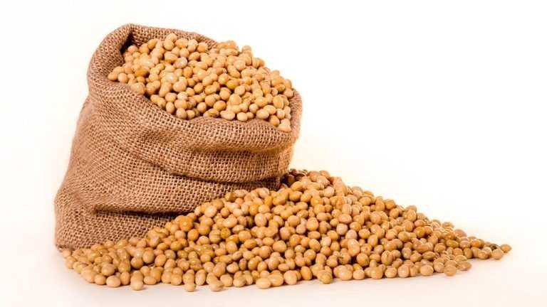Texturert soya produseres fra bønnene til denne belgfrukten